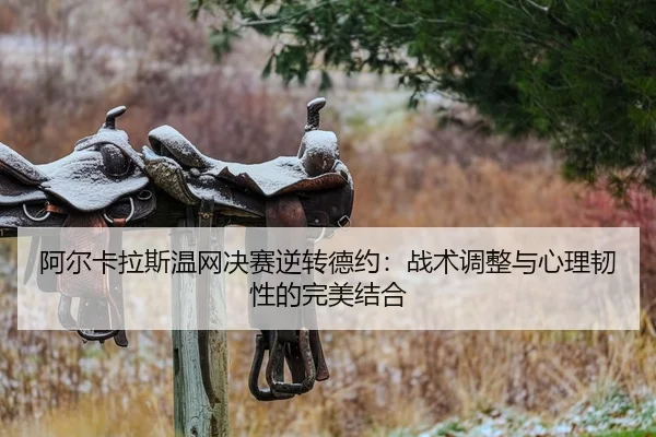 a-er-ka-la-si-wen-wang-jue-sai-ni-zhuan-de-yue-zhan-shu-tiao-zheng-yu-xin-li-ren-xing-de-wan-mei-jie-he-2-204.jpg