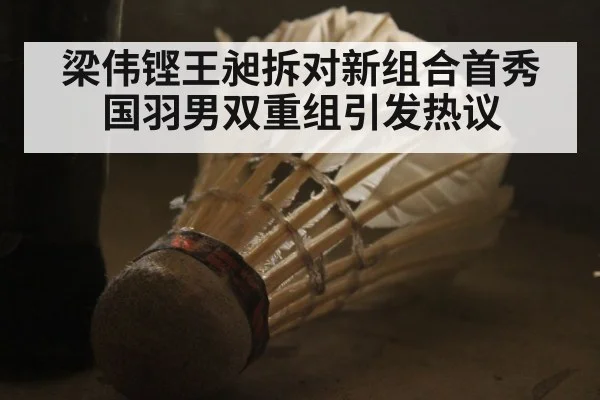 梁伟铿王昶拆对新组合首秀国羽男双重组引发热议